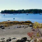 beach and harbor